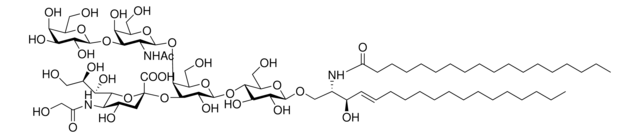 C18:0 GM1(Neu5Gc) Ceramide (d18:1/18:0) Avanti Research&#8482; - A Croda Brand