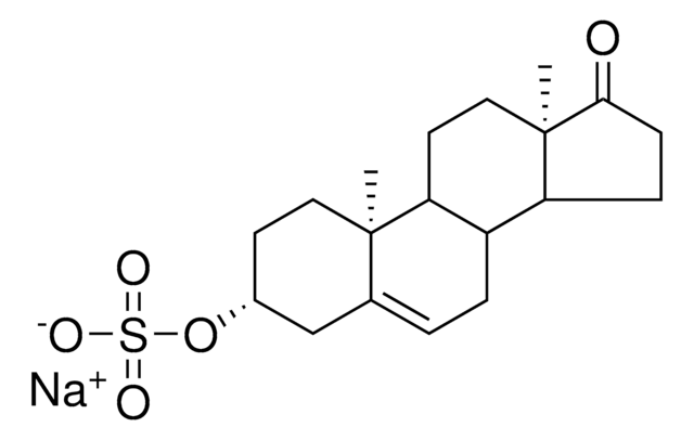 Ent-DHEA sulfate Avanti Research&#8482; - A Croda Brand