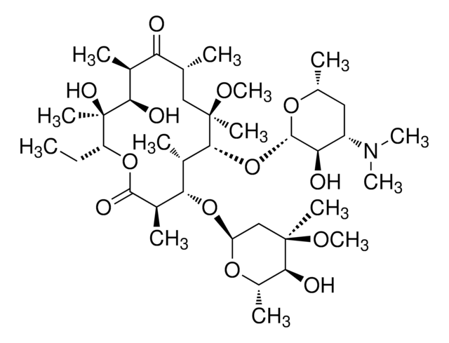 Clarithromycin, Ready Made Solution 50&#160;mg/mL in DMSO