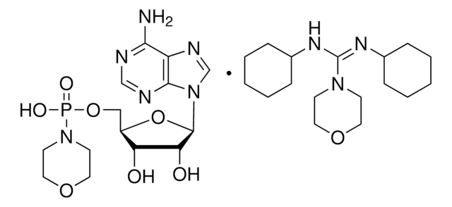 Adenosine 5&#8242;-monophosphomorpholidate 4-morpholine-N,N&#8242;-dicyclohexylcarboxamidine salt