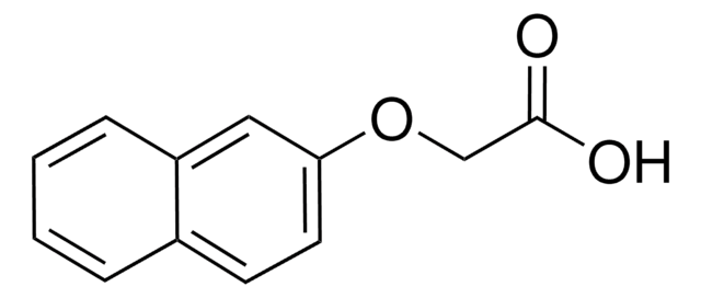 2-Naphthoxyacetic acid 98%