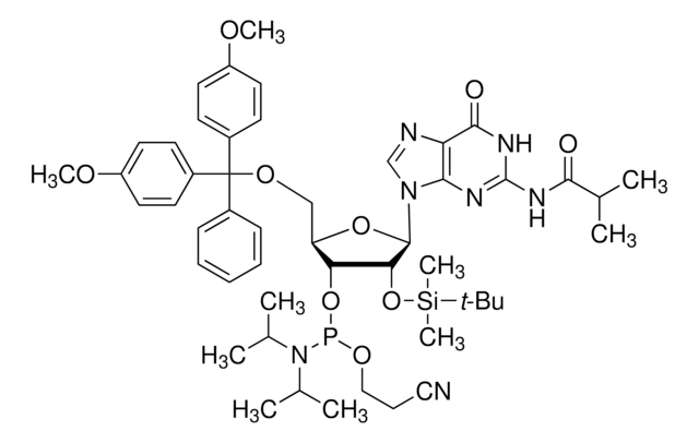 DMT-2&#8242;O-TBDMS-rG(ib) Phosphoramidite configured for MerMade