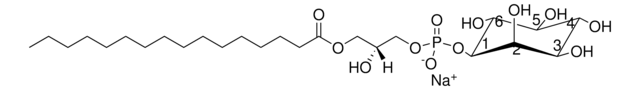 Soy Lyso PI Avanti Research&#8482; - A Croda Brand 850090P, powder