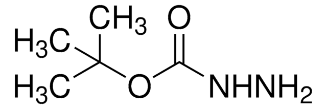 tert-Butyl carbazate 98%