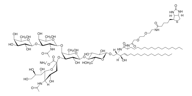 C18:0 GM1-Biotin (synthetic) Avanti Research&#8482; - A Croda Brand