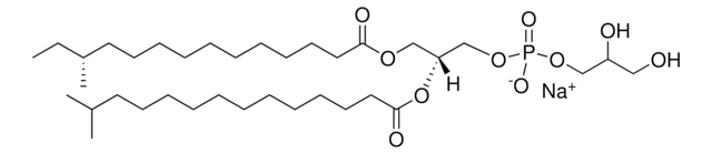 a15:0-i15:0 PG Avanti Research&#8482; - A Croda Brand
