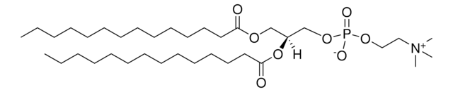 Ent-DMPC Avanti Research&#8482; - A Croda Brand