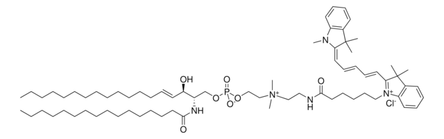 C16 Cyanine 5 SM chloroform solution, Avanti Research&#8482; - A Croda Brand