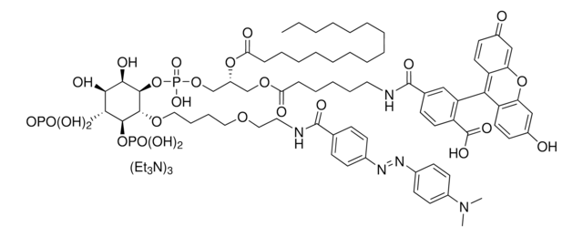 XY-69 Avanti Research&#8482; - A Croda Brand