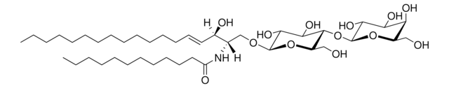 Lactosyl (&#946;) C12 Ceramide Avanti Research&#8482; - A Croda Brand LM2512, ethanol solution