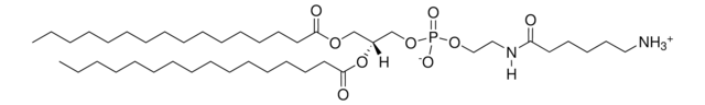 16:0 Caproylamine PE Avanti Research&#8482; - A Croda Brand 870125P, powder