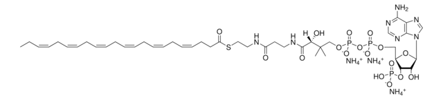 22:6 Coenzyme A Avanti Research&#8482; - A Croda Brand 870728P, powder