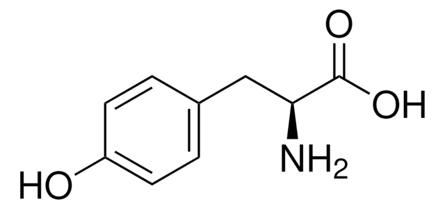 L-Tyrosine from non-animal source, meets EP, USP testing specifications, suitable for cell culture, 99.0-101.0%