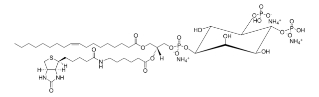 18:1-6:0 Biotin PI(4,5)P2 Avanti Research&#8482; - A Croda Brand 860567P, powder