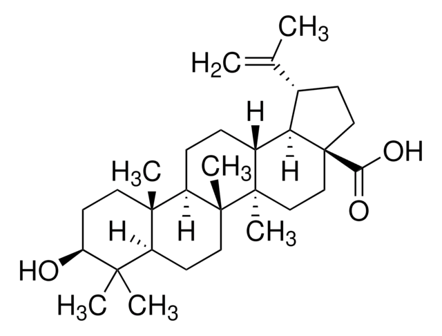 Betulinic acid analytical standard