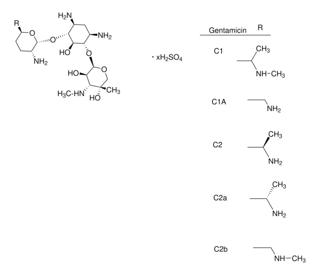 Gentamicin sulfate salt powder, BioReagent, suitable for cell culture