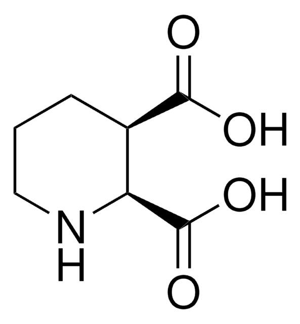 2,3 cis-Piperidine dicarboxylic acid