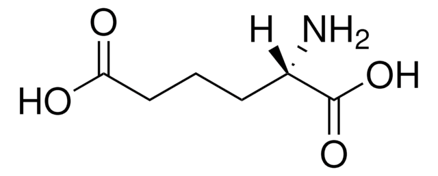 L-2-Aminoadipic acid &#8805;98% (TLC)