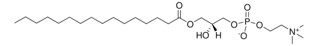 Soy Lyso PC Avanti Research&#8482; - A Croda Brand 840072P, powder