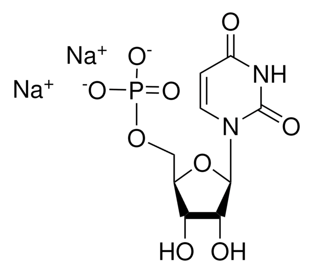 Disodium 5&#8242;-uridylate United States Pharmacopeia (USP) Reference Standard