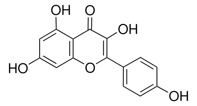 Kaempferol United States Pharmacopeia (USP) Reference Standard