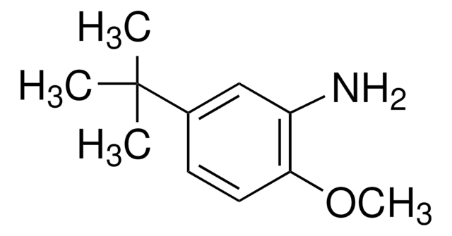 5-tert-Butyl-o-anisidine 97%