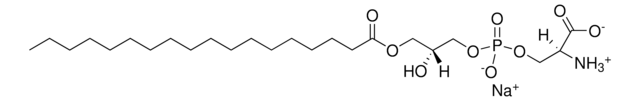 Brain Lyso PS Avanti Research&#8482; - A Croda Brand 850092P, powder