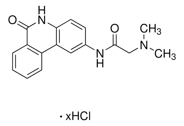 PARP Inhibitor VIII, PJ34 InSolution, &#8805;98%