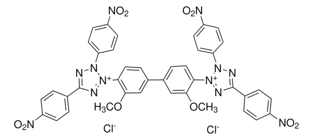 Tetranitroblue tetrazolium chloride &#8805;85% (AT)