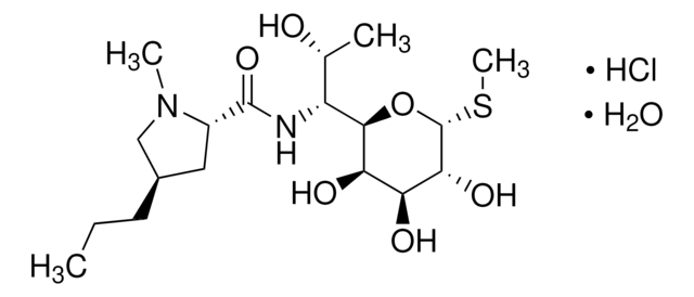 Lincomycin Hydrochloride Pharmaceutical Secondary Standard; Certified Reference Material