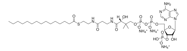 15:0 Coenzyme A Avanti Research&#8482; - A Croda Brand 870715P, powder