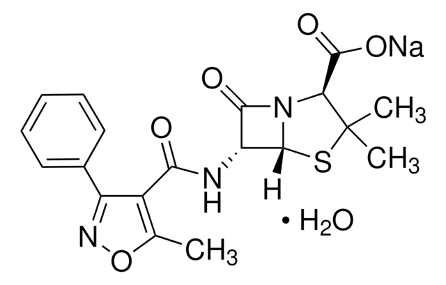 Oxacillin sodium United States Pharmacopeia (USP) Reference Standard