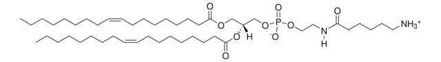 18:1 Caproylamine PE Avanti Research&#8482; - A Croda Brand