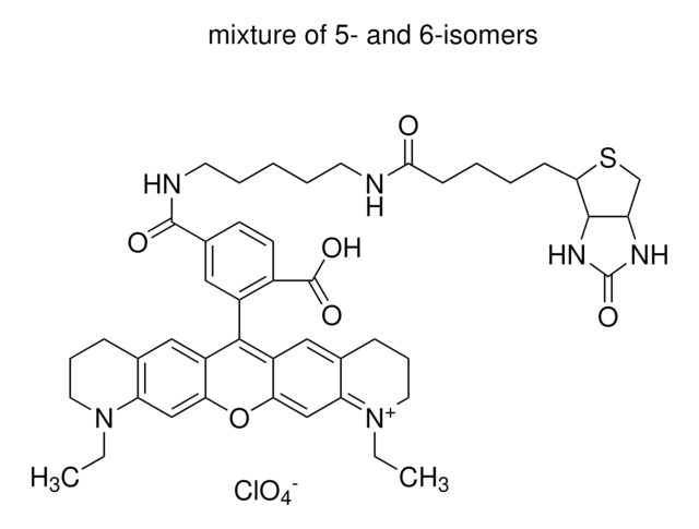 Atto 565-Biotin