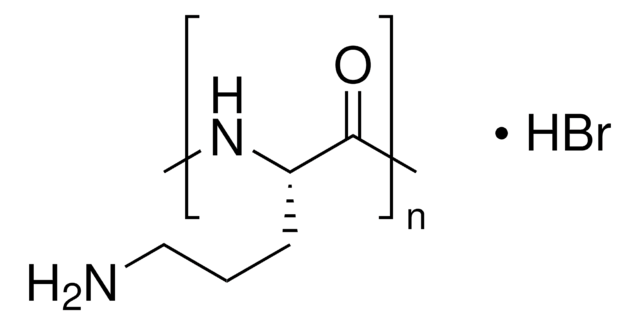 Poly-L-ornithine solution mol wt 30,000-70,000, 0.01%, sterile-filtered, BioReagent, suitable for cell culture