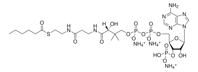 06:0 Coenzyme A Avanti Research&#8482; - A Croda Brand 870706P, powder