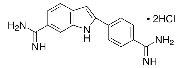 DAPI 4&#8242;,6-Diamidine-2&#8242;-phenylindole dihydrochloride