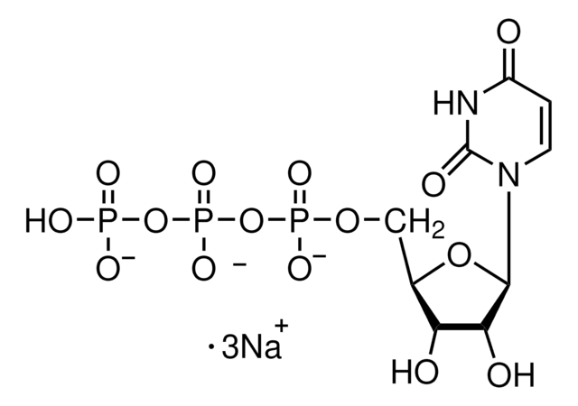 Uridine 5&#8242;-triphosphate trisodium salt solution HPLC purified, aqueous solution for RNA polymerase transcription