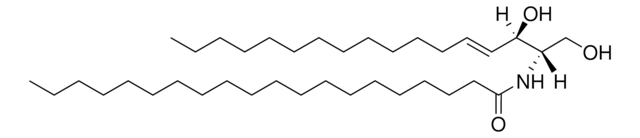 C20 Ceramide (d17:1/20:0) Avanti Research&#8482; - A Croda Brand 860648P, powder