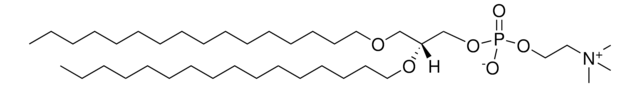 16:0 Diether PC Avanti Research&#8482; - A Croda Brand 999992P, powder