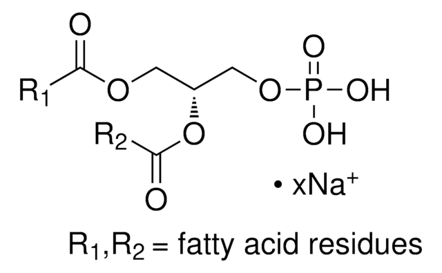 3-sn-Phosphatidic acid sodium salt from egg yolk lecithin &#8805;98%