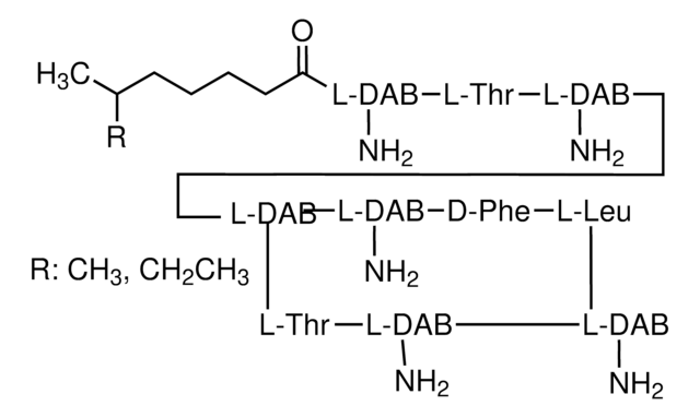 Polymyxin B sulfate salt powder, BioReagent, suitable for cell culture