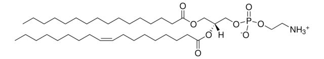 16:0-18:1(n9) PE - IsoPure Avanti Research&#8482; - A Croda Brand