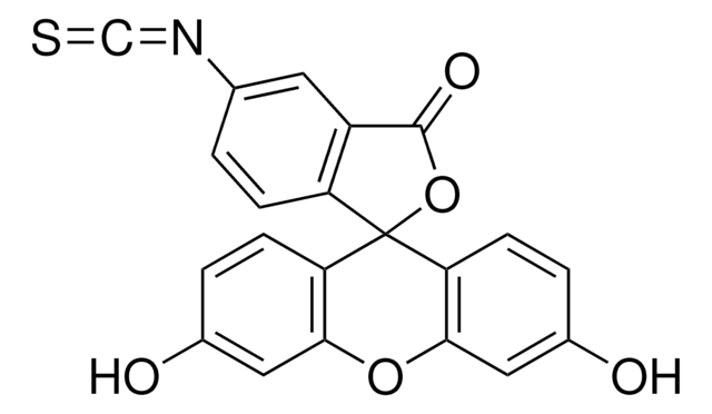 Fluorescein isothiocyanate isomer I–Celite&#174; suitable for fluorescent labeling techniques