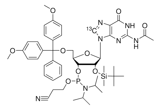 DMT-2&#8242;O-TBDMS-rG(ac)-8-13C phosphoramidite &#8805;98 atom % 13C, &#8805;95% (CP)