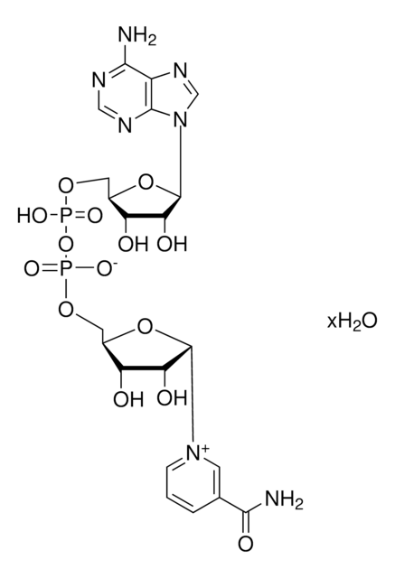 &#946;-Nicotinamide adenine dinucleotide hydrate &#8805;98%, BioUltra, from yeast