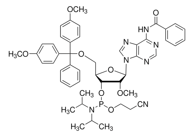 DMT-2&#8242;O-Methyl-rA(bz) Phosphoramidite configured for MerMade