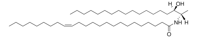 N-C24:1-deoxysphinganine Avanti Research&#8482; - A Croda Brand 860464P, powder