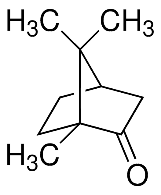 Camphor 96%