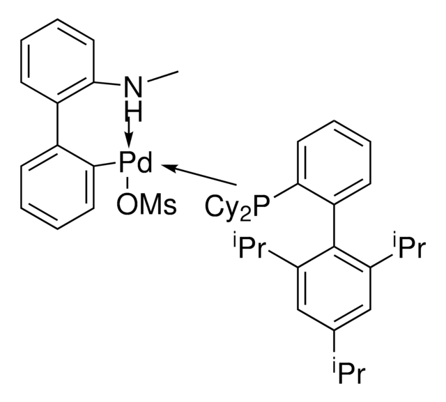 XPhos Pd G4 ChemBeads